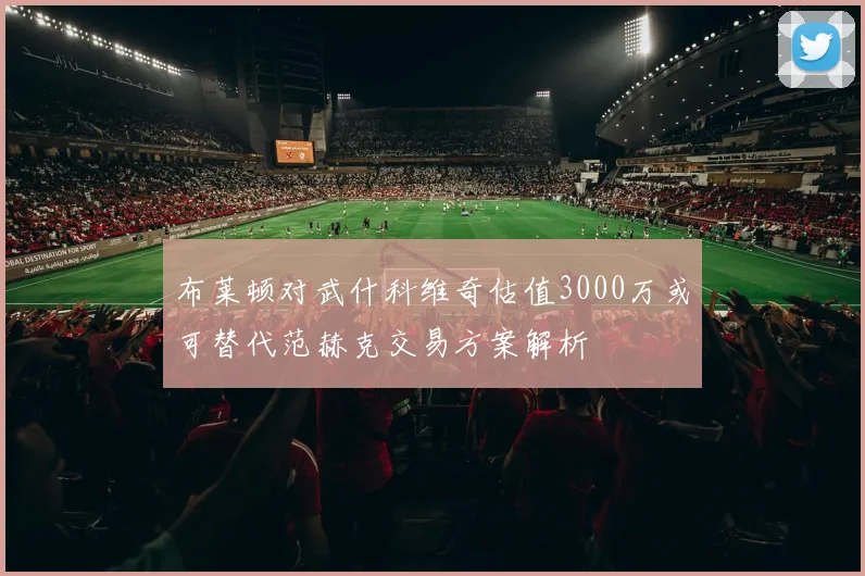 布莱顿对武什科维奇估值3000万或可替代范赫克交易方案解析